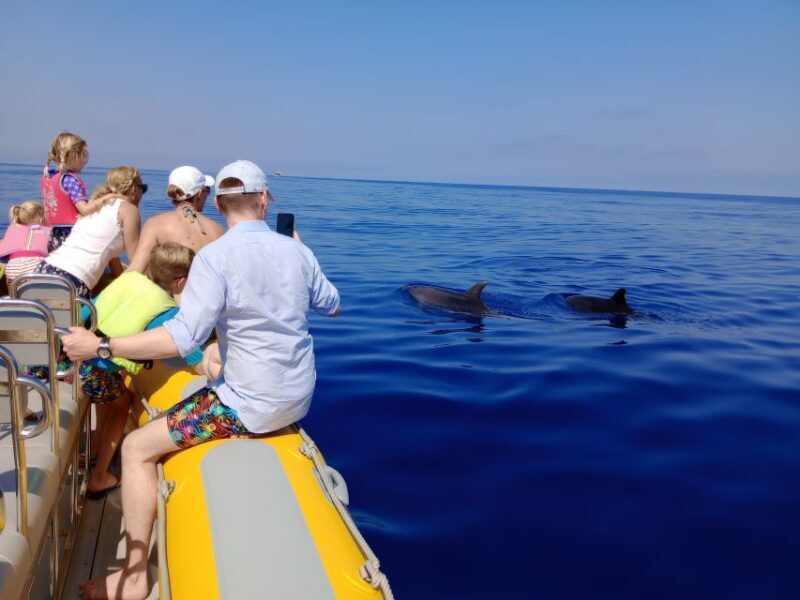 Can Picafort: Dolphin Watching Boat Tour, Swimming stop - What Past Travelers Say