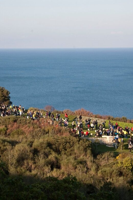 Canakkale: 6-Hour Gallipoli Tour with Lunch - What to Expect on the Gallipoli Tour