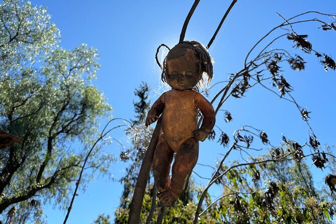 Canals Boat Tour + Doll Island + Ajolote Shrine - What the Reviewers Say