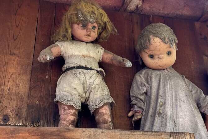 Canals Boat Tour + Doll Island + Ajolote Shrine - Who Should Consider This Tour?