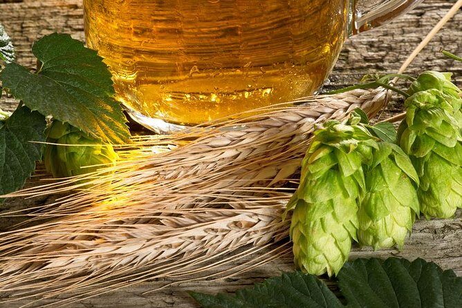 Canandaigua Lake Brewery Tour - What the Tour Includes