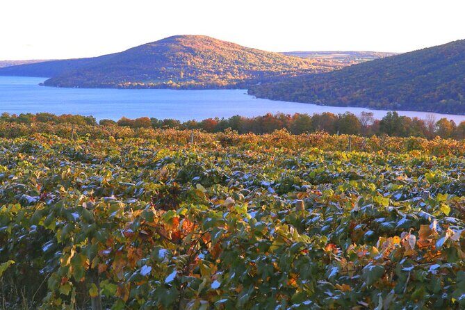 Canandaigua Wine Trail Experience - What Makes This Tour Stand Out?