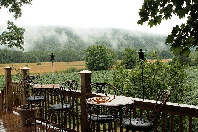 Canandaigua Wine Trail Experience - Who’s This Tour Best For?