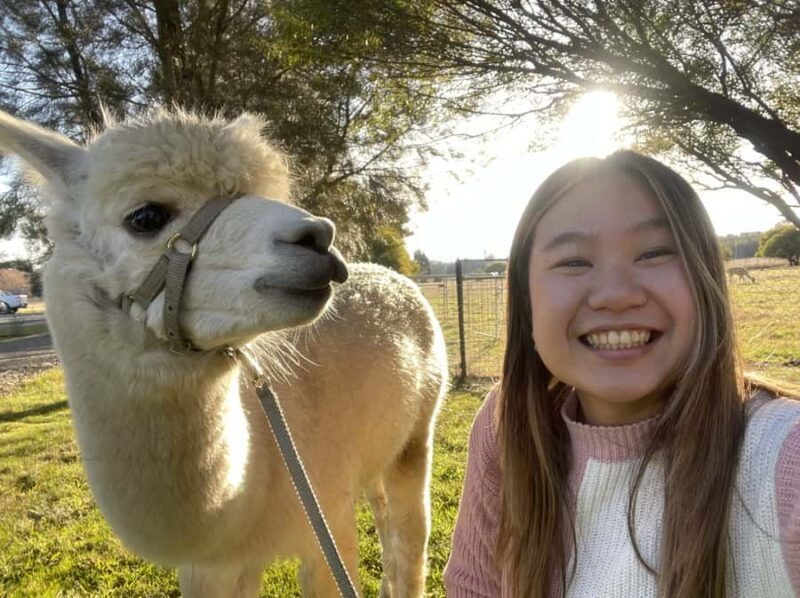Canberra: Alpaca Adventure Farm Tour (morning tea included) - Key Points