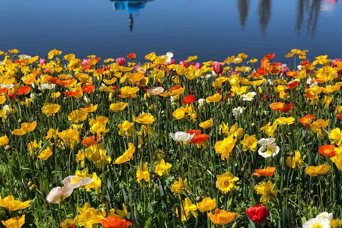 Canberra Floriade Tour - Exploring Canberra’s Floral Gems: What the Tour Offers