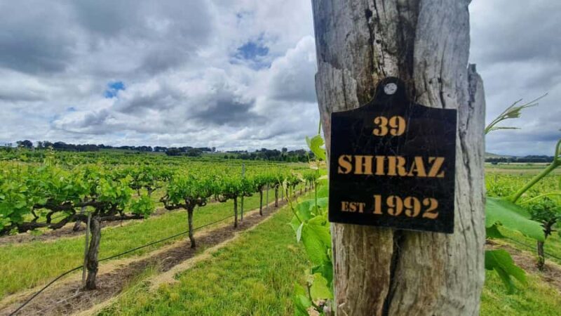 Canberra: Private Wine Discovery Tour with Lunch - A Deep Dive into the Experience