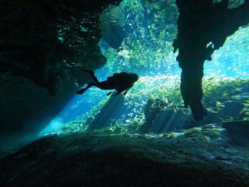 Cancun 2 Cenote Dives: The Pit + Nicte Ha - Certified Divers - Key Points