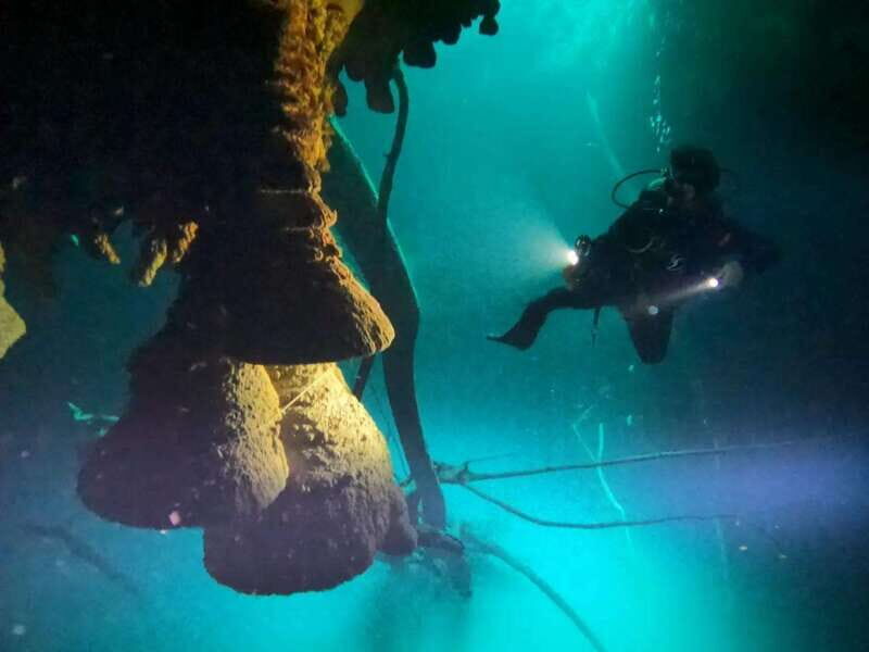 Cancun: 2 Dives in Cenotes Ki Ha + Zapote - Certified Divers - An In-Depth Look at the Cenote Diving Experience
