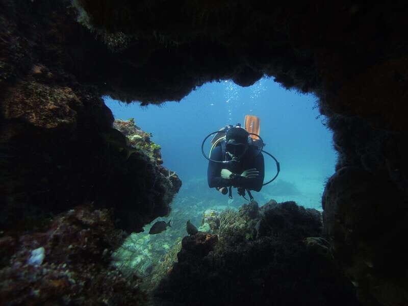 Cancun: 2 Reef Dives at Punta Cancun for Certified Divers - Key Points