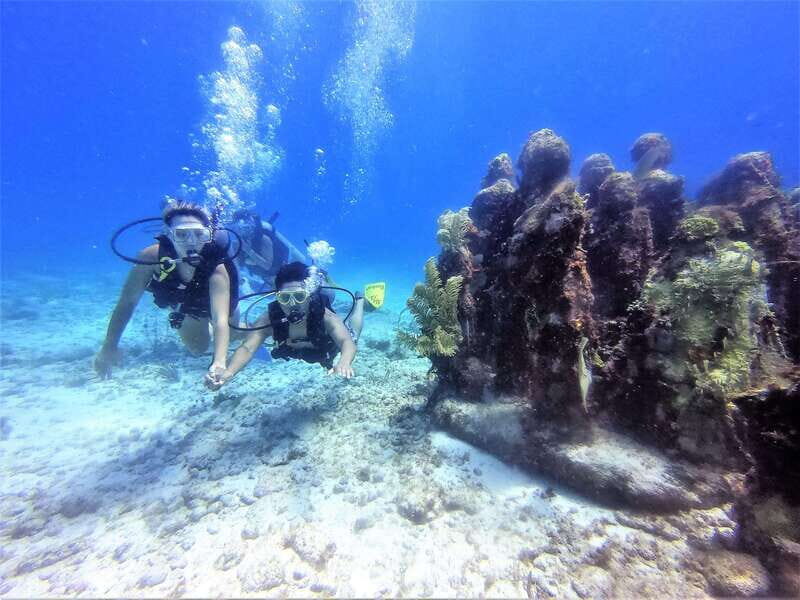 Cancun: 2-Tank Dive for Beginners with MUSA and Reef Dive - What to Expect from This Cancun 2-Tank Dive Tour