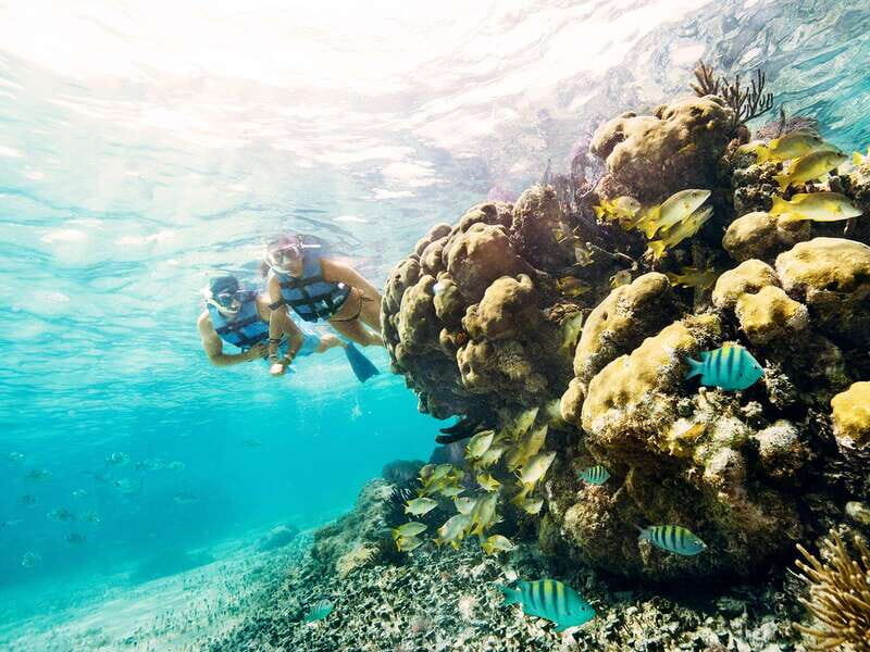 Cancun: 2Hour Speedboat Experience - Key Points