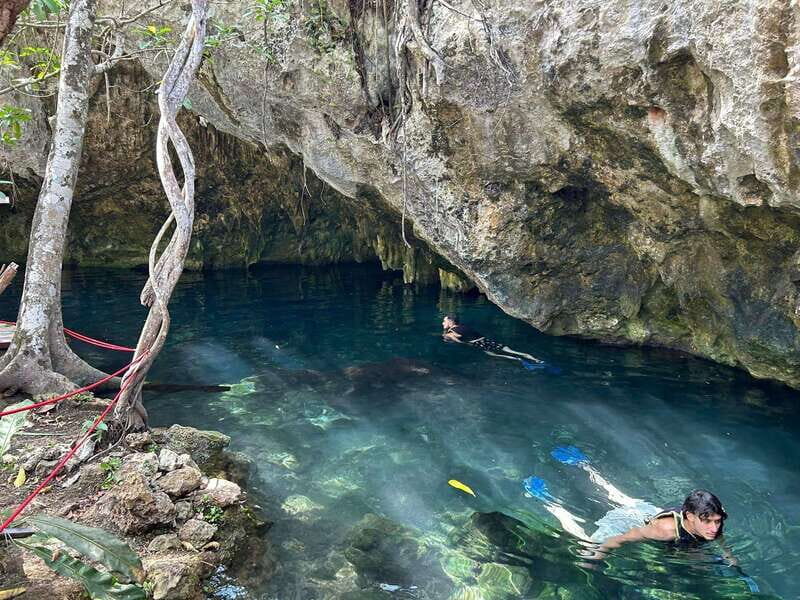 Cancun: 3 Cenotes & 1 Lagoon Tour - What to Expect on the Tour