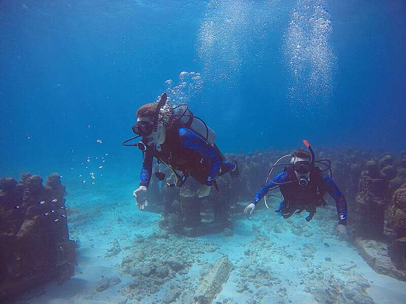 Cancun: 3 Days SDI Open Water Diver Certification - The Realities of the Course: Pros and Cons