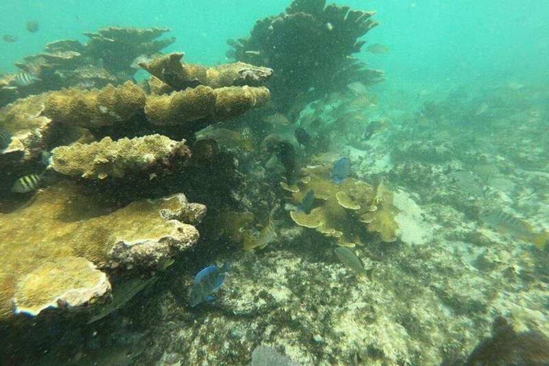 Cancun: 3 Islands Snorkel Adventure - Final Thoughts