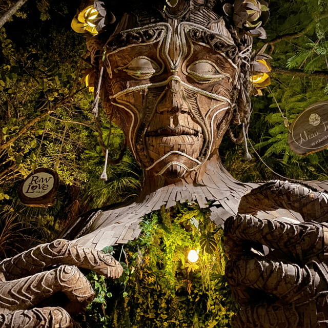 Cancun 4x1: Coba, Tulum, Playa del Carmen, and a Cenote - Whats Included and Whats Not