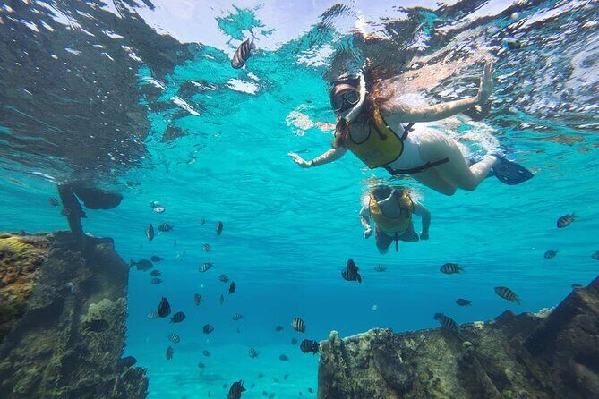 Cancun 6 in 1 Snorkeling Tour: MUSA, Shipwreck, Reefs & Cenotes - What We Love About This Tour