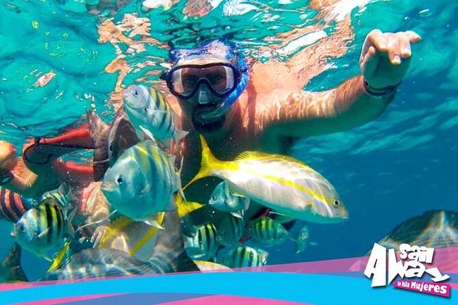 Cancun Adults Only Party Cruise to Isla Mujeres with Open Bar - What to Expect from This Cancun to Isla Mujeres Cruise