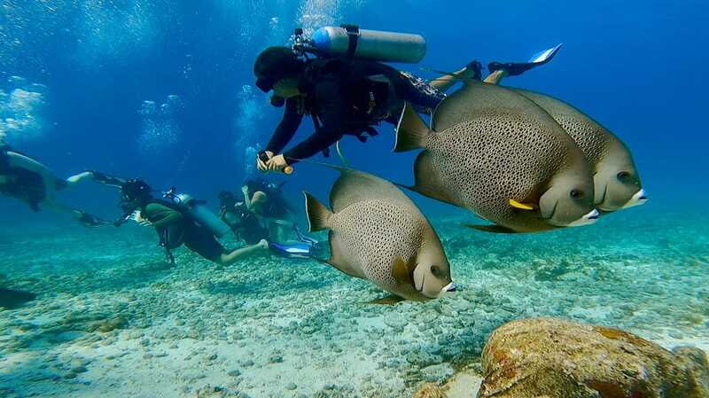 Cancun: All included Diving Lesson (2 Tanks) - FAQs