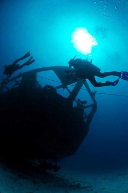 Cancun: Angelfish Discovery Package - What to Expect from the Cancun Angelfish Discovery Package