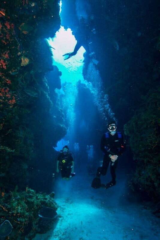 Cancun: Angelfish Discovery Package - The Sum Up