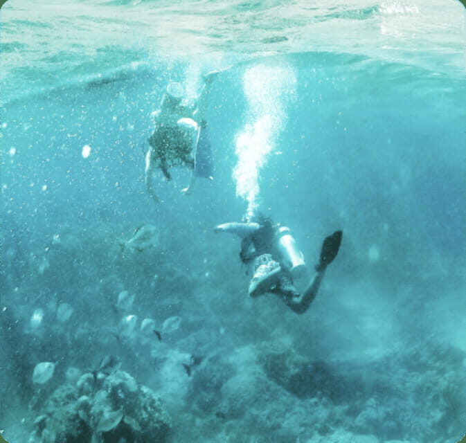 Cancun: Angelfish Discovery Package - FAQ