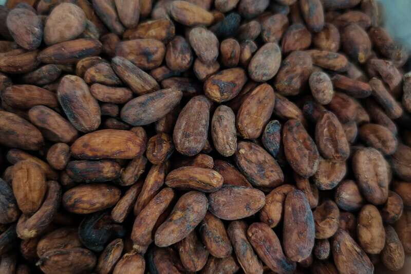 Cancún: Chocolate Making Class and Tasting with Chef - Making Your Own Chocolate