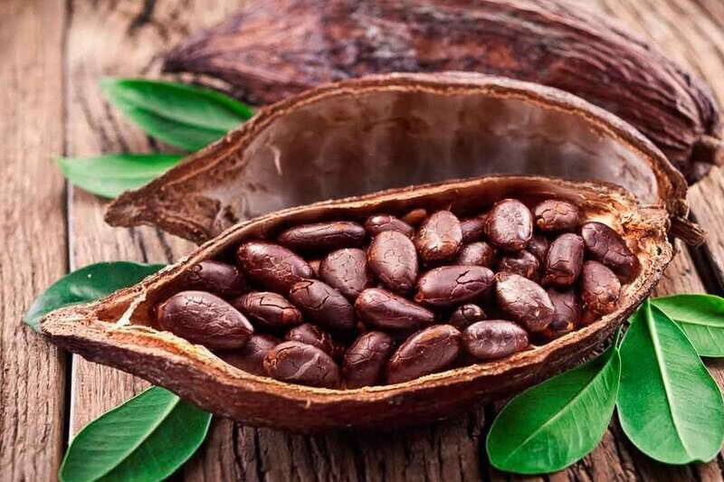 Cancún: Chocolate Making Class and Tasting with Chef - What’s Included and What’s Not