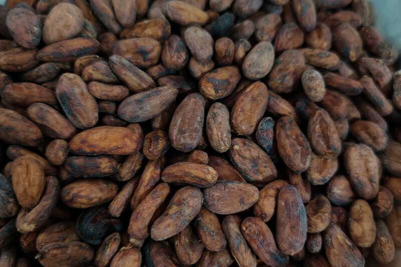 Cancún: Chocolate Making Class and Tasting with Chef - Who Will Love This Tour?