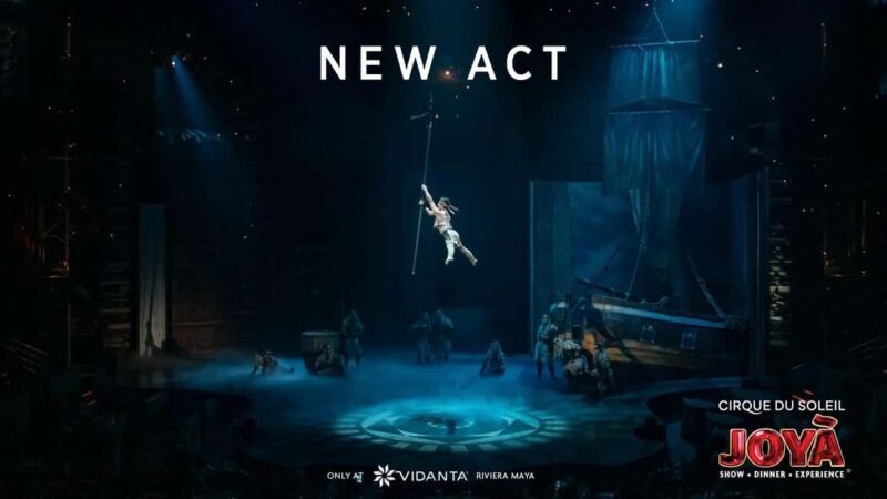 Cancún: Cirque du Soleil JOYÀ Show Ticket - Who Should Consider This Experience?