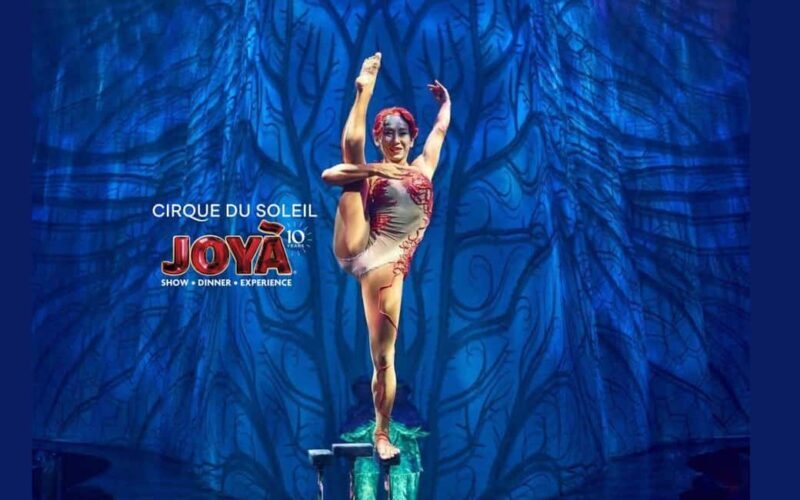 Cancún: Cirque du Soleil JOYÀ Ticket - Key Points