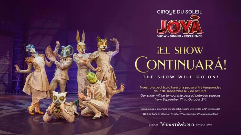 Cancún: Cirque du Soleil JOYÀ Ticket - The Experience: A Closer Look