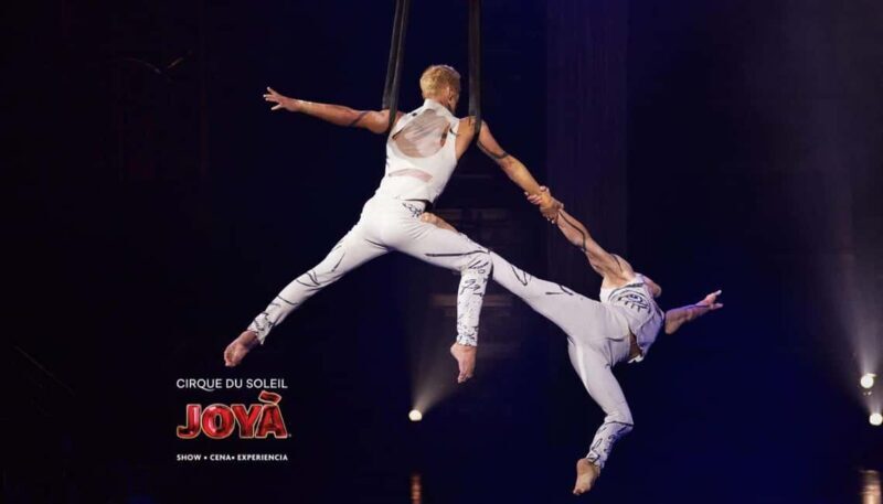 Cancún: Cirque du Soleil JOYÀ Ticket - Who Should Consider This Experience?