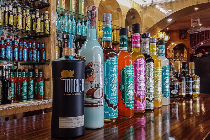 Cancun City Private Half-Day Guided Tour - Practical Considerations and Possible Drawbacks