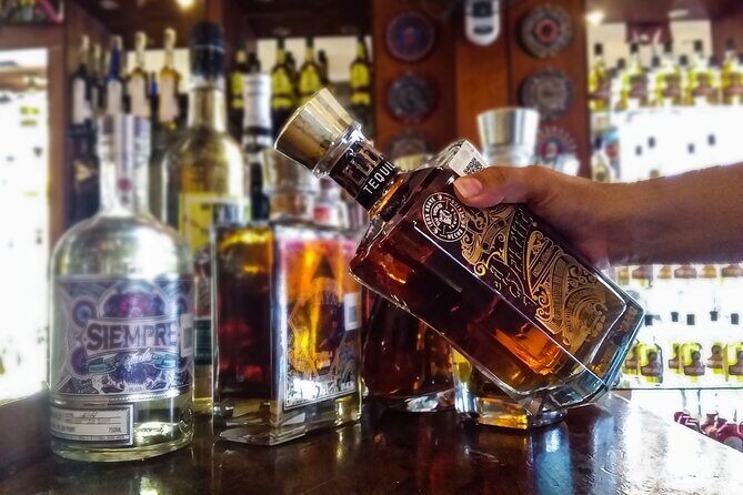 Cancun City Private Half-Day Guided Tour - Who Will Love This Tour?