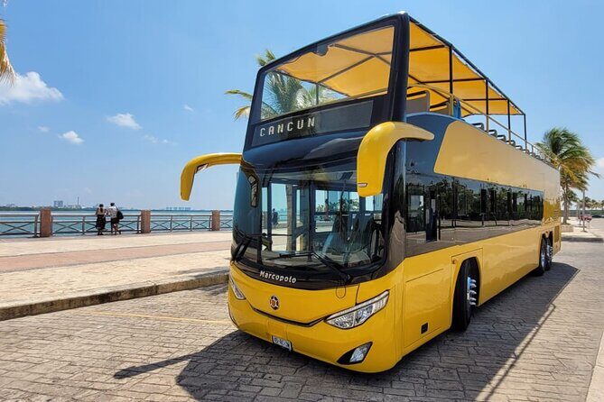 Cancun City Sightseeing and Shopping Tour on a Double Decker bus - An In-Depth Look at the Tour Itself