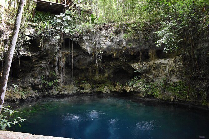 Cancun: Discover the Hidden Treasures: Exploring 3 Jungle Cenotes - The Value of This Experience