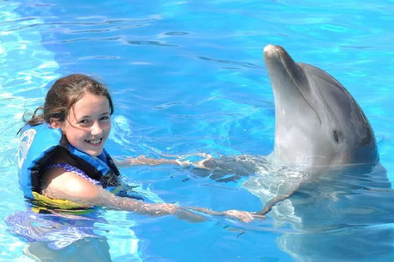 Cancún: Dolphin Encounter on Isla Mujeres with Buffet - Key Points