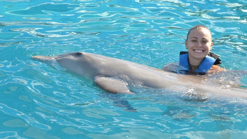 Cancún: Dolphin Encounter on Isla Mujeres with Buffet - The Buffet and Rest of the Day
