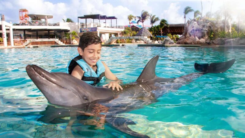 CANCUN: Dolphin Swim Adventure with buffet and soft drinks - The Realities of the Experience: Pros and Cons