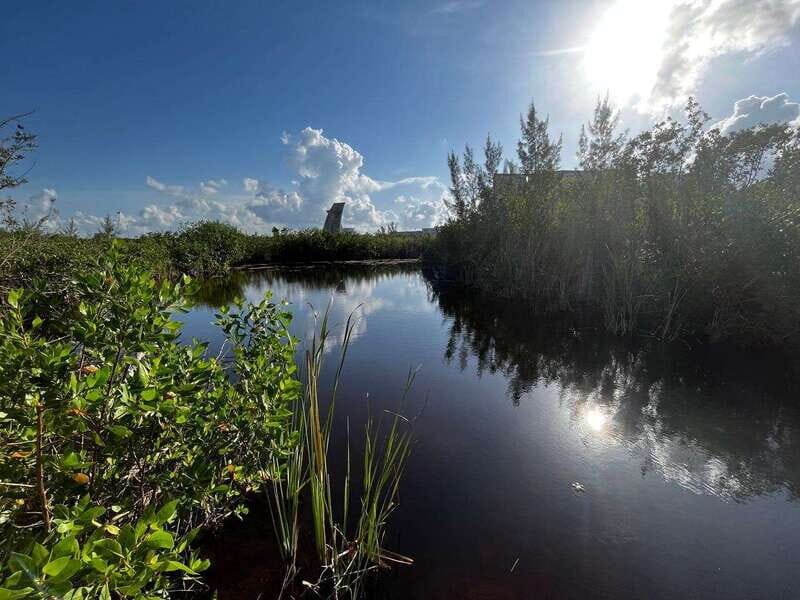 Cancun Downtown Evening Walking Tour - The Practical Side: What Travelers Should Know