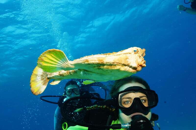 CANCUN: FIRST TIME DIVERS CANCUN - Safety and Weather Considerations