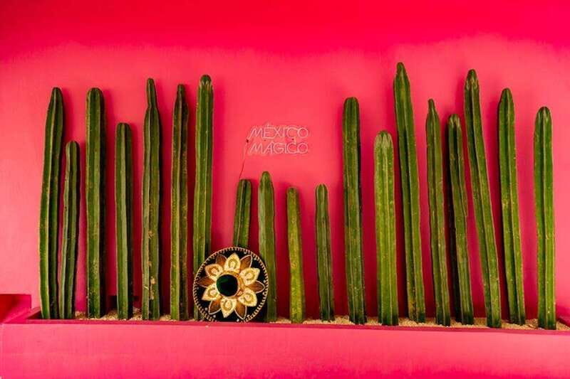 Cancun Guided Sightseeing, Shopping and Tasting Tour - Authenticity and Authentic Experiences