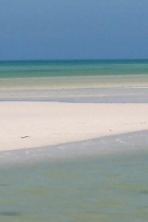 Cancun: Holbox plus Island, Punta Mosquito Trip with Lunch - FAQ