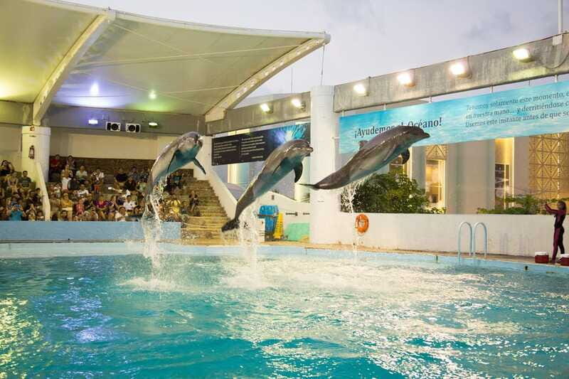 Cancún Interactive Aquarium Admission + Dolphin Presentation - Is It Worth the Price?