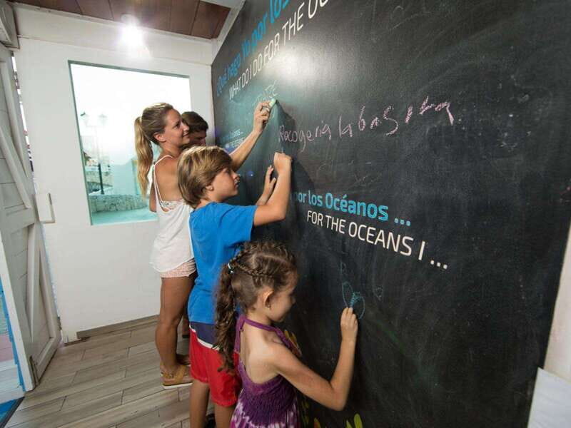 Cancún Interactive Aquarium Admission + Dolphin Presentation - Practical Tips for Visiting