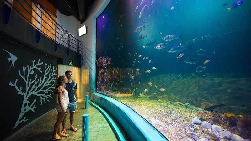 Cancún Interactive Aquarium Admission + Dolphin Presentation - Final thoughts