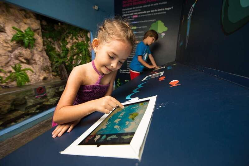 Cancún: Interactive Aquarium Admission - Key Points