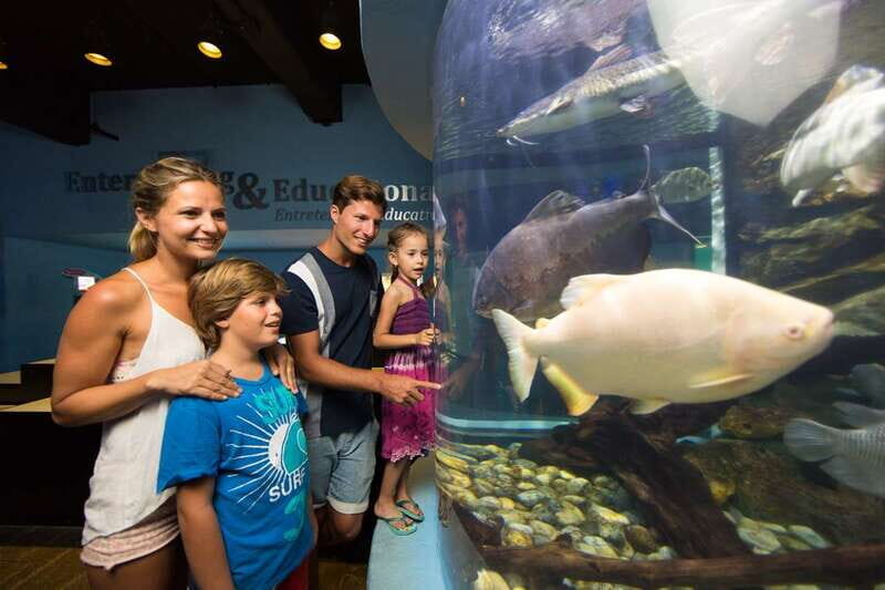 Cancún: Interactive Aquarium Admission - What to Expect at the Interactive Aquarium in Cancún