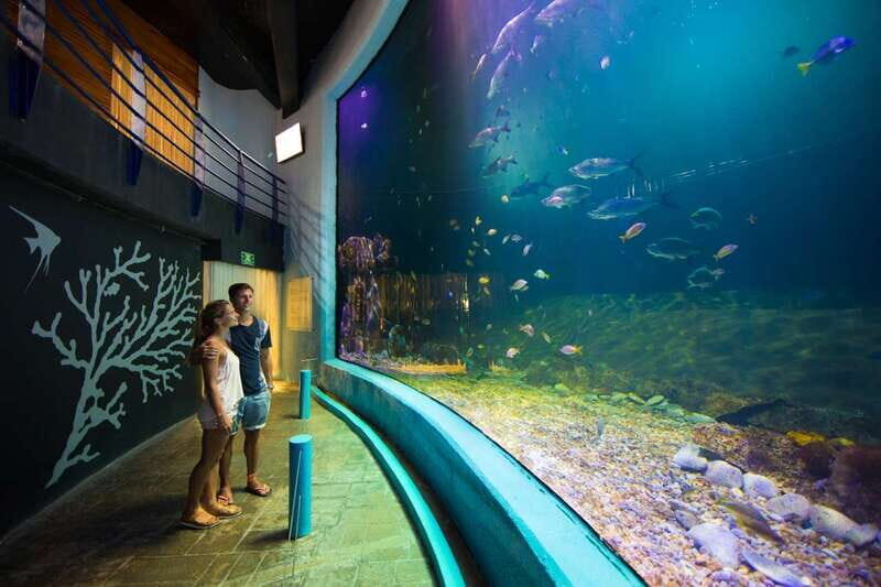 Cancún: Interactive Aquarium Admission - Who Should Consider Visiting?