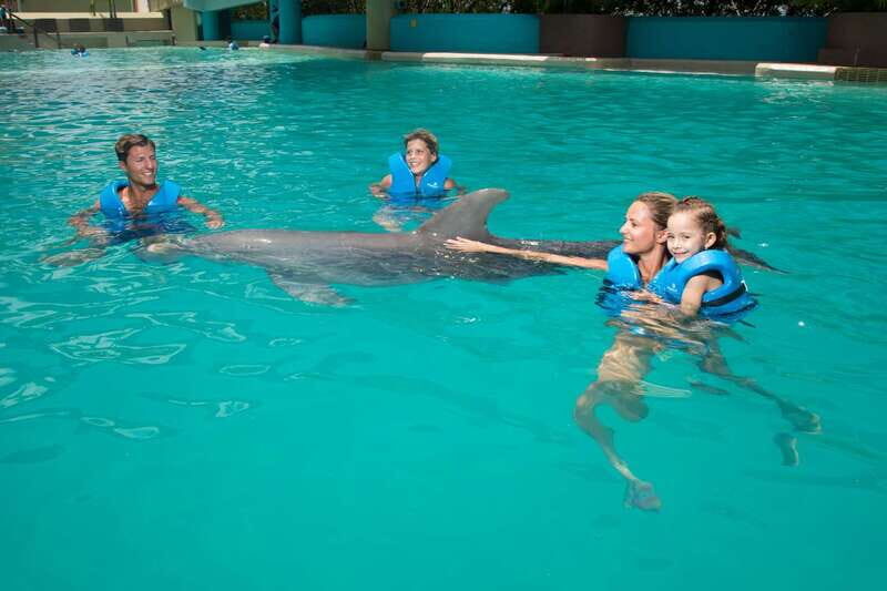 Cancun: Interactive Aquarium - Swim with dolphins Premium - Key Points